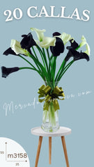 20 Callas Vino y Blanco