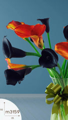 20 Callas Vino y Naranja