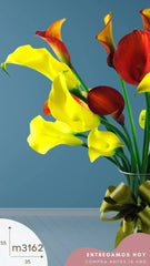 20 Callas Naranja y Amarillo