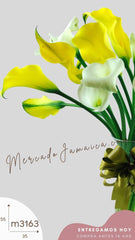 20 Callas Blanco y Amarillo