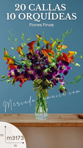20 Callas Naranja Orquídeas Lila