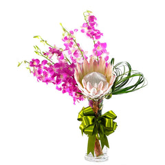 Arreglo Orquídeas dendrobium King