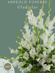 Arreglo Fúnebre con Gladiolas Cielo