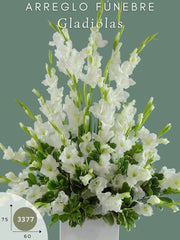 Arreglo Fúnebre con Gladiolas Cielo