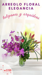 Tulipanes Rojos y Orquídeas Lila !
