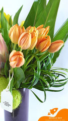 Arreglo con Protea y 20 Tulipanes Color !