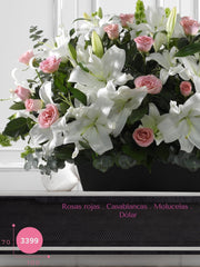 Arreglo Fúnebre Eterna