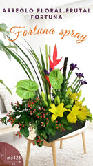 Arreglo Frutal y Flores Fortuna Spray
