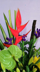 Arreglo Frutal y Flores Fortuna Spray