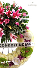 Corona Bendicion y Amor