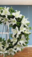 Corona Mediana Angel de Paz