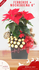 Arreglo Navidad con Planta Noche Buena !