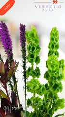 Arreglo con Flor Liatris Lila y Rosas Blancas