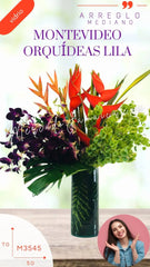 Arreglo con Orquídeas Lila Montevideo Alto
