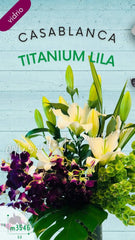 Arreglo con Flores Orquídeas Casa Blanca Titanium Lila