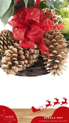 Canasta Navideña La Pastora !