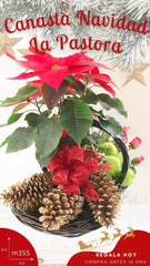 Canasta Navideña La Pastora !