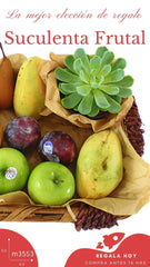 Arreglo Frutal Suculenta !