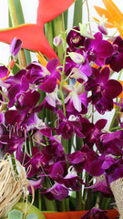 ¡Canasta Frutal y Orquídeas Lila!