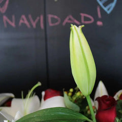 Arreglo Navidad 1 Metro Wow