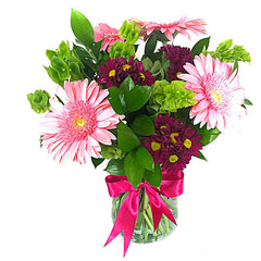 Gerberas y Margaritas M3601