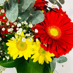 Gerberas Rojas y Margaritas