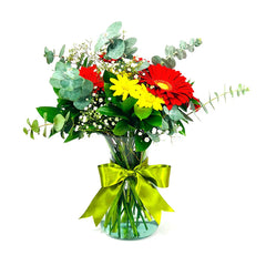 Gerberas Rojas y Margaritas