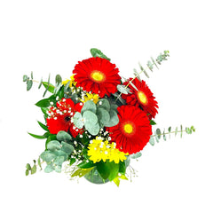 Gerberas Rojas y Margaritas