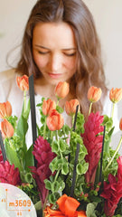Tulipanes Encanto Ginger