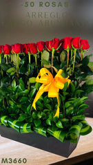 ¡50 Rosas Rojas Gran Encanto!