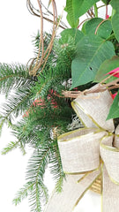 Canasta Navidad Gran Festiva !