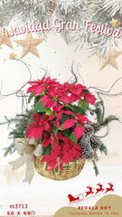 Canasta Navidad Gran Festiva !