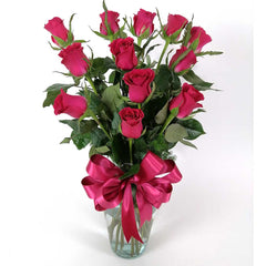 ¡12 Rosas Fucsia Hermosas!