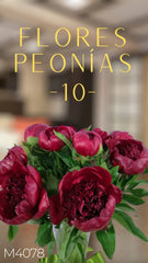 10 Flores Peonias Vino