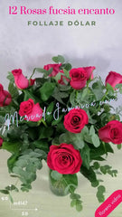 ¡12 Rosas Fucsia Encanto!