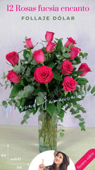 ¡12 Rosas Fucsia Encanto!