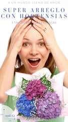 Arreglo con Hortensias