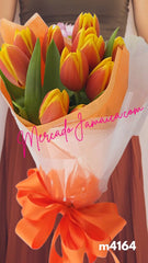 10 Tulipanes Naranja Kees Neliss