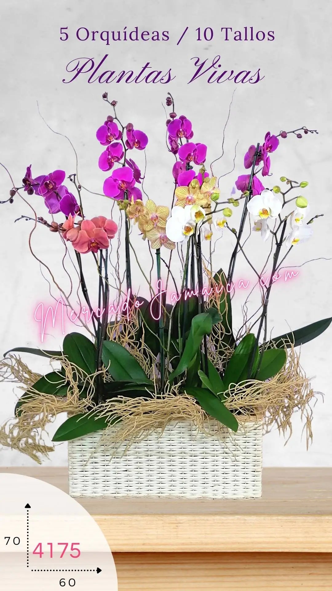 Arreglo Floral