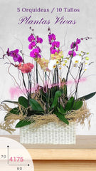 Arreglo Floral