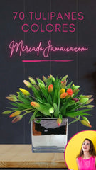 Arreglo con Tulipanes Gran Cubo Color
