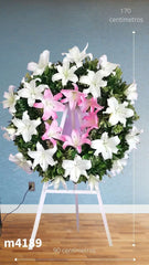 Corona Mediana Angel y Acapulcos Rosa