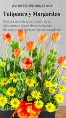 Arreglo Floral