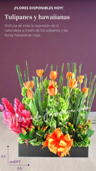 Arreglo Hawaiianas y Tulipanes