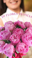 20 Peonias Rosa Dulce Encanto