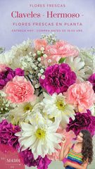 Arreglo Floral Claveles Hermoso