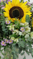 6 Girasoles en Florero de Vidrio Encanto Lila