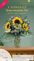 6 Girasoles en Florero de Vidrio Encanto Lila