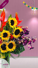 Arreglo Gran Brasil Clasico Orquídeas dendrobium