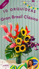 Arreglo Gran Brasil Clasico Orquídeas dendrobium